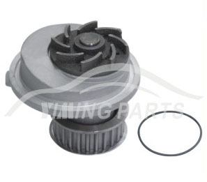 Bomba D'Água - BBD12041