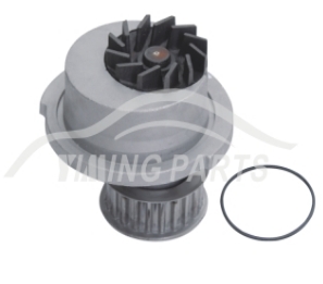 Bomba D'Água - BBD12042