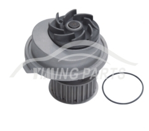 Bomba D'Água - BBD12043