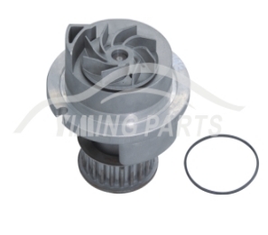 Bomba D'Água - BBD12044